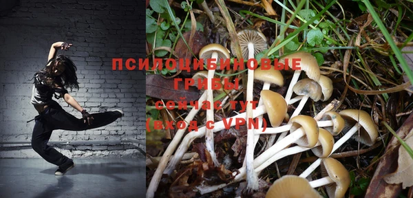 бутират Белокуриха