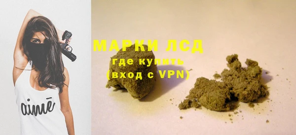 PSILOCYBIN Беломорск