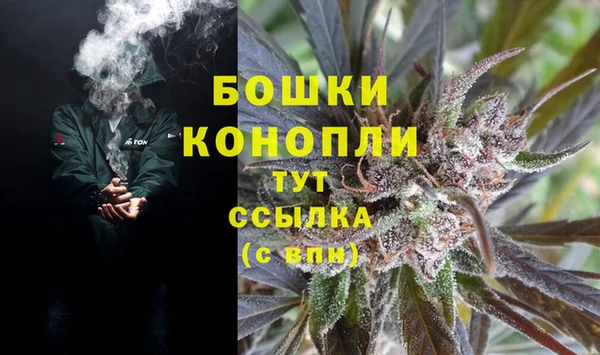 PSILOCYBIN Беломорск