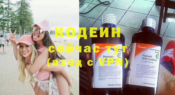 дживик Богородск