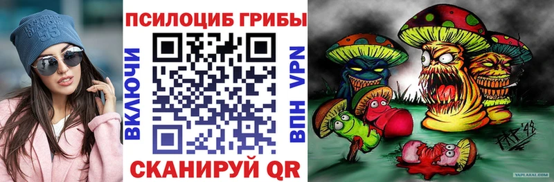Псилоцибиновые грибы Cubensis  Бор 